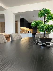 Una mesa negra con dos bonsáis encima. en Ubytování U Františka, en Hodonín