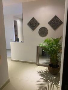a hallway with a mirror and a potted plant at Laguna club zona norte - se renta con vehículo in Cartagena de Indias