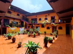 un patio con macetas frente a un edificio en El Encuentro, en Cuetzalán del Progreso