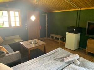 TV a/nebo společenská místnost v ubytování The Green Cabin