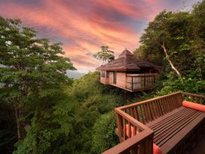 Yalong Bay Earthly Paradise Birds Nest Resort （Mountain Villas) في سانيا: منزل شجرة يجلس على قمة تلة