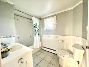 a white bathroom with a toilet and a sink at COIS FARRAIGE BESIDE The SEA in North Rustico