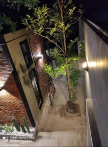 una bicicleta estacionada junto a un árbol al lado de un edificio en Mother’s House(บ้านแม่) en Wang Saphung
