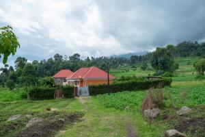 a house with a red roof in a field at Ntebeko Homestay in Kisoro