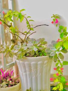 a white vase filled with plants on a table at Rose's House in Khu Chi Lăng