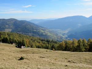 Fotografie z fotogalerie ubytování Haus Ofner am Kreischberg v destinaci Sankt Georgen ob Murau
