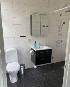 a bathroom with a toilet and a sink and a mirror at Pensionat Haga Öland in Löttorp