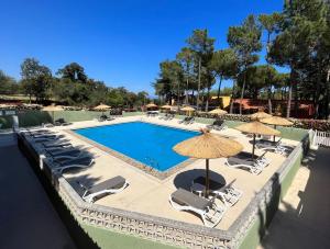 una piscina con sillas y sombrillas en Camping Des Mimosas, en Argelès-sur-Mer