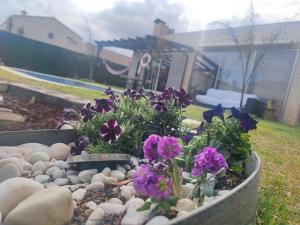 Vonkajšia záhrada v ubytovaní Villa lujosa con spa, piscina y sala de juegos PRIVADOS
