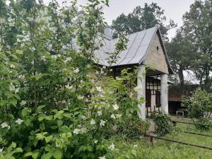 een klein wit huis met een zwart dak bij Ostoja Będzyn- Wypoczynek nad Pilicą in Piotrków Trybunalski