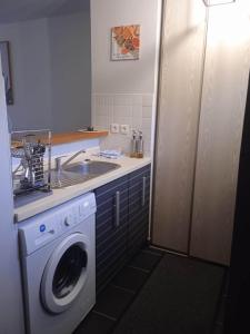 uma cozinha com uma máquina de lavar roupa e um lavatório em Les clés du sud sauvage em Saint-Joseph