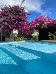 a blue swimming pool with purple trees and pink flowers at Homestay Papa garden in Pleiku