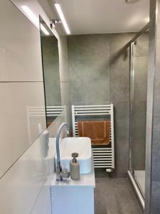 ein Bad mit einem Waschbecken und einer Dusche in der Unterkunft Apartmán - E - Vyhlídka nad řekou in Zdiby