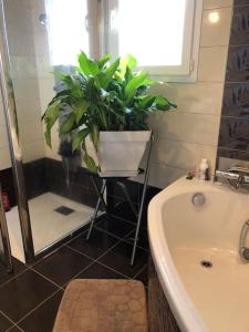 a bathroom with a plant on a stand next to a bath tub at Havre de paix dans un joli petit coin de verdure in Saint-Sulpice-le-Guérétois