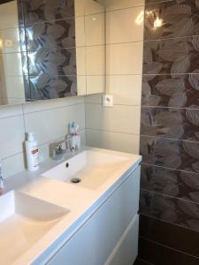 a bathroom with a sink and a mirror at Havre de paix dans un joli petit coin de verdure in Saint-Sulpice-le-Guérétois +9 photos