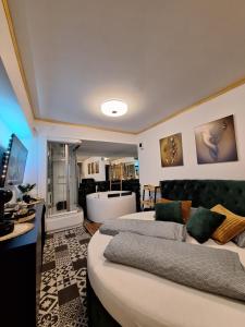 una grande camera con due letti e una televisione di Guest House Villa Lord a Novi Sad