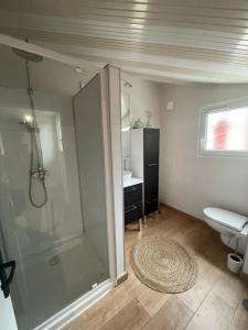 La salle de bains est pourvue d'une douche, de toilettes et d'un lavabo. dans l'établissement Petit maison avec terrasse proche de Rouen 1h30 de Paris, à Bihorel