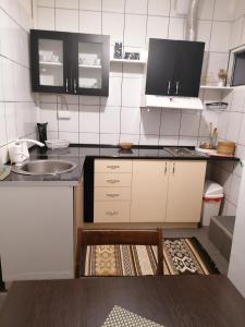Kuchyň nebo kuchyňský kout v ubytování Apartman Centar 2