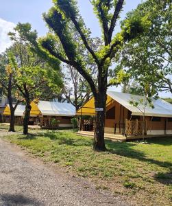un groupe de tentes avec des arbres devant elles dans l'établissement Camping Beaussement Samouraï, à Chauzon