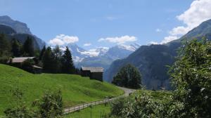 a road leading down a green hill with mountains in the background at Staubbachbänkli in Wengen +16 photos