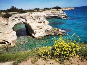 an arch in the rocks near the ocean with yellow flowers at Appartamento Il Campanile in Muro Leccese