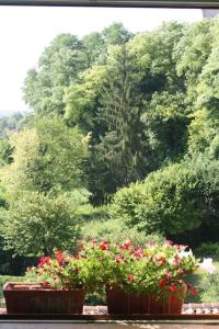 dois potes de flores em frente a uma floresta de árvores em Bella Vista em Aubeterre-sur-Dronne