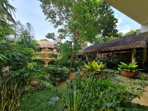 Zahrada ubytování Boracay Amor Apartment (Garden)