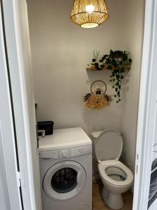 La salle de bains est pourvue d'un lave-linge et de toilettes. dans l'établissement La Bergerie, au Cap d'Agde