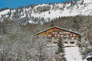 Gallery image of Edelweiss in Samoëns