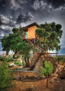 une cabane dans les arbres accessible par des escaliers. dans l'établissement Encostas do Côa TER -HOTEL, à Pinhel