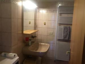 Baño pequeño con lavabo y espejo en Appartamento Genziana, en Predazzo