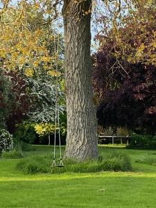 un árbol en un parque con dos columpios en Grange stables, en North Cadbury