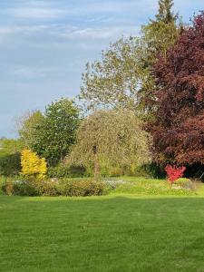 a green field with trees and bushes in a park at Grange stables in North Cadbury