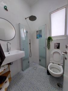 a bathroom with a toilet and a sink and a shower at נצר- צימר 