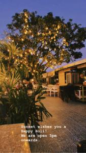 a tree with christmas lights on it in a yard at hotel saina inn in Dehradun
