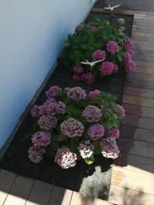 un bouquet de fleurs violettes sur une terrasse en bois dans l'établissement nataliledeco bed and breakfeast, à La Guérinière