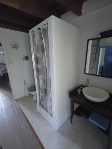 ein Bad mit einer Dusche, einem Waschbecken und einem Spiegel in der Unterkunft L'Aulnerie in La Chapelle-Cécelin