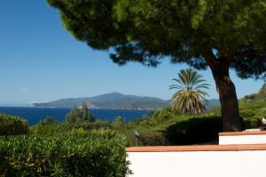 a view of the ocean from a house with a tree at Residential Hotel Villaggio Innamorata in Capoliveri