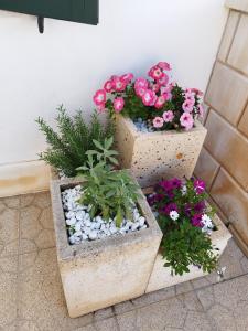 Gallery image of Casa vacanze Il sorriso di Emi in Torre Suda