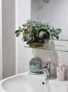 a bathroom sink with a potted plant on a shelf at Dianella Inn in Dhaka