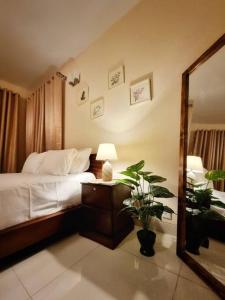 a bedroom with a bed and a mirror and a plant at Dianella Inn in Dhaka