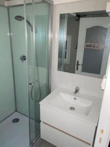 een badkamer met een wastafel en een douche bij Logement T2 terrasse vue sur piscine in Larche