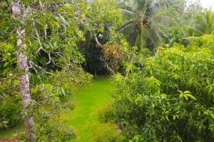 a green field in the middle of a forest at Halcyon Galle in Galle