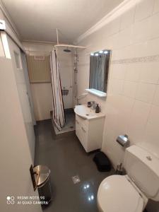 a small bathroom with a toilet and a sink at Villa Konstantina in Perani