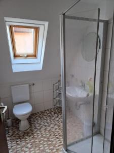 a bathroom with a toilet and a glass shower at Ferienhaus Zum Amthof in Alsfeld