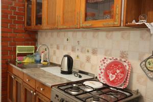 a kitchen with a stove and a counter top at Apartman Lagodi in Križevci