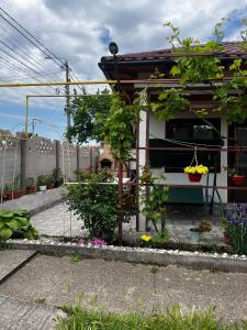 a house with a bunch of flowers in a yard at Casa de vacanță Amy in 2 Mai +4 photos