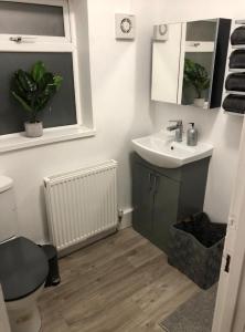 a bathroom with a sink and a toilet and a mirror at Large Three Bedroom Apartment with Roof Terrace Near City Centre in Cardiff