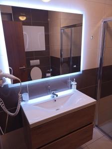 baño con lavabo y espejo grande en Apartmán Lucka A202 en Starý Smokovec