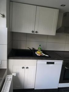 Kuchyň nebo kuchyňský kout v ubytování Ferienwohnung Ankerplatz in Schlagsdorf auf Fehmarn